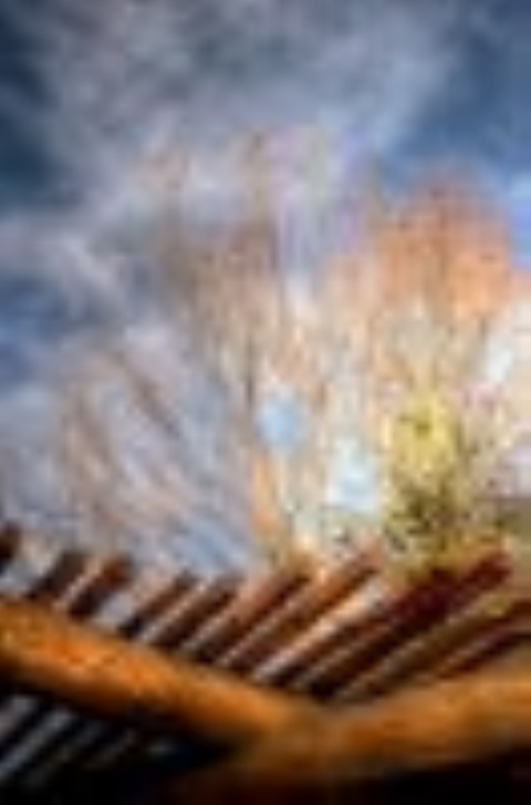 חלום שהופך למציאות...